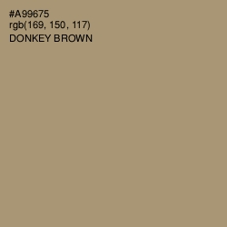 #A99675 - Donkey Brown Color Image